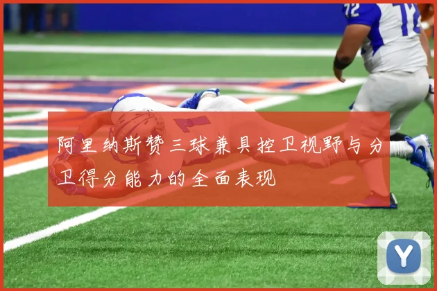 阿里纳斯赞三球兼具控卫视野与分卫得分能力的全面表现