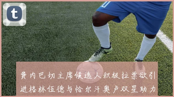 费内巴切主席候选人积极拉票欲引进格林伍德与恰尔汗奥卢双星助力球队