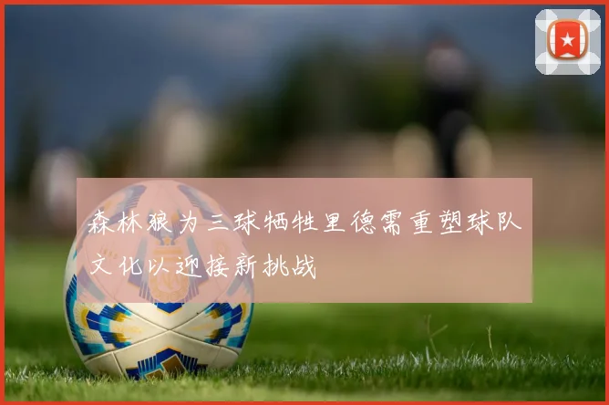 森林狼为三球牺牲里德需重塑球队文化以迎接新挑战