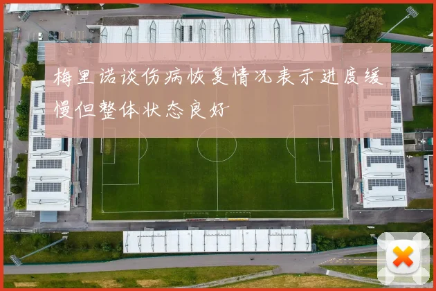 梅里诺谈伤病恢复情况表示进度缓慢但整体状态良好